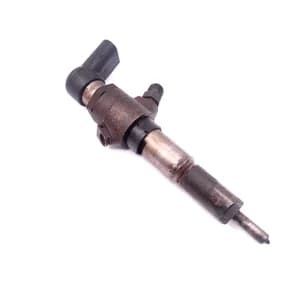 Fuel injector Ford FIESTA Mk 5 2002–2008 1.4 TDCi 9655304880
