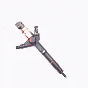 Fuel injector Nissan X-TRAIL (T30) 2001–2007 2.2 dCi 166008H800