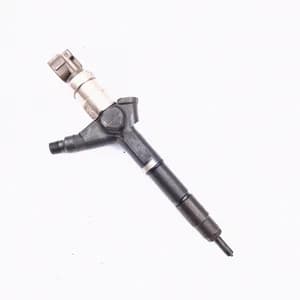 Fuel injector Nissan PRIMERA (P12, WP12) 2002–2007 2.2 dCi