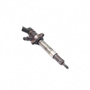 Fuel injector Citroen C3 1 (FC) 2002–2010 1.6 16V HDi 0445110239